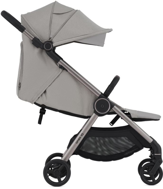 anex-iq-silve5.jpg