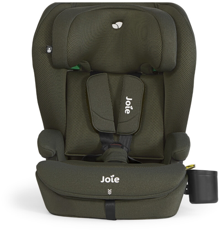 joie-i-irvana-max-fern2.jpg