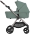anex-iq-olly10.jpg
