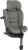 joie-ispin360max-thunder2.jpg