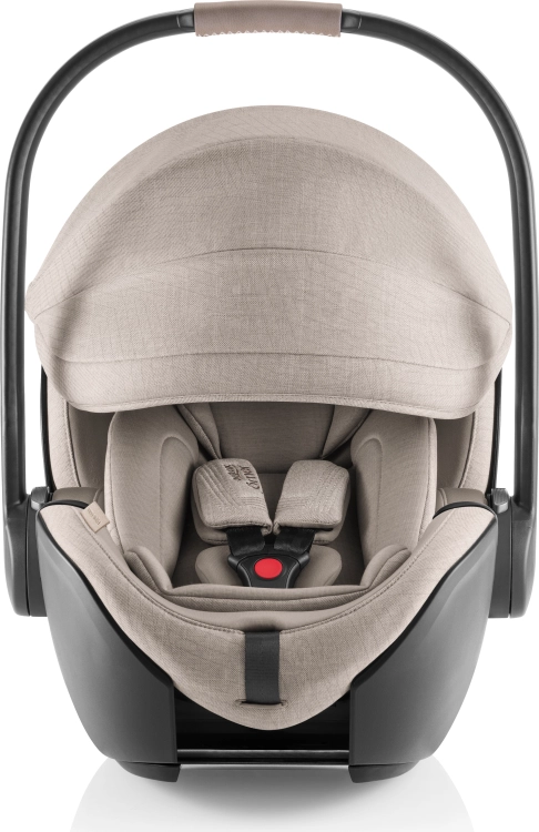 Britax-Romer BABY-SAFE PRO SPECIAL | GEO