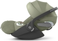 PLUS Sage Green