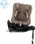 Inny Dorel Mica Slide Pro Authentic Truffle