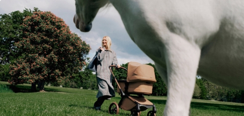 Bugaboo Fox5 Renew komplet Stella Tabacco Brown
