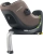 Swandoo Marie 5 i-Size Brilliant Brown