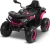 Toyz Quad Gigant Pink