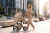 FutureDesign Calvio Essential 2w1 Almond