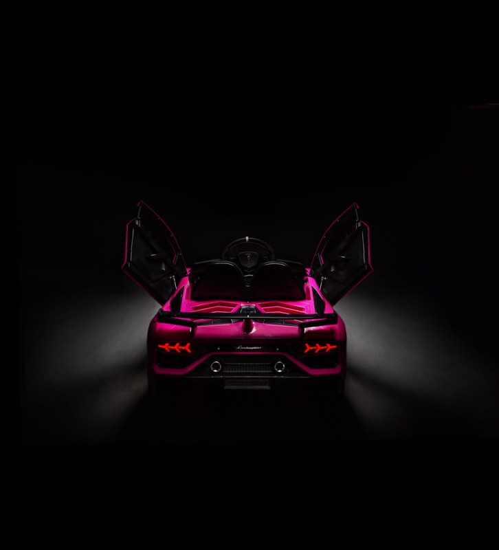 lambo_aventador_pink_17.jpg