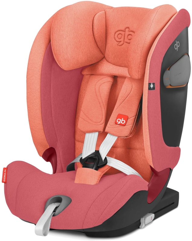 GB_19_y045_EU_RORE_Everna-Fix_harness_screen_HD.jpg