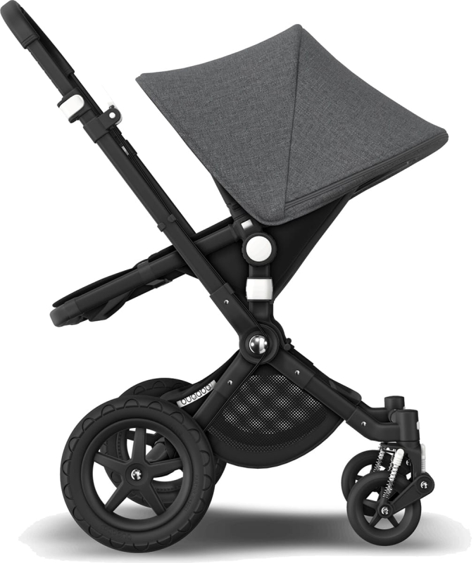 Large JPG-PI_cameleon-3-plus_b7095b051184320ae1e61fe4fea92705.jpg