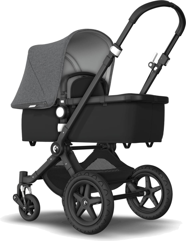 Large JPG-PI_cameleon-3-plus_066fc029c0601c20f433ab8cad5fc9de.jpg