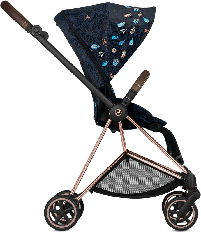 cybexmiosjewelsofnaturerosegold7.jpg