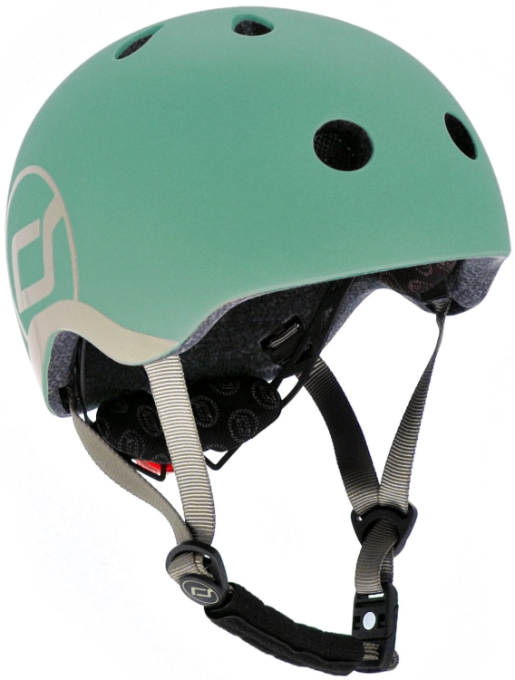 HELM_XS_forest.jpg