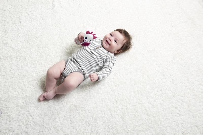 Tiny Love Tiny Smarts - grzechotka, gryzak | Sarenka Florence