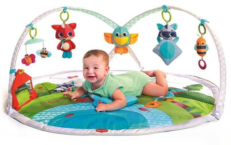 Tiny Love - mata edukacyjna z pałąkami | Zabawa na łące