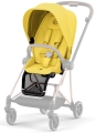 Mustard Yellow