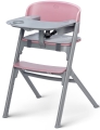 Aster Pink