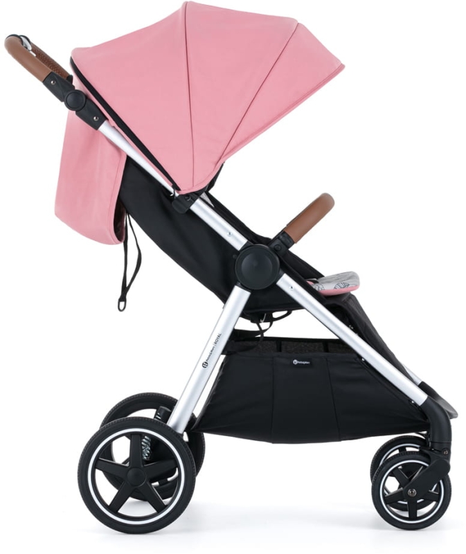 rose-pink-2.jpg