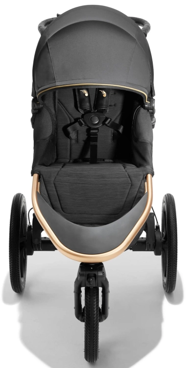 baby-jogger-summit-x3-city-royalty-robin-arzon2.jpg