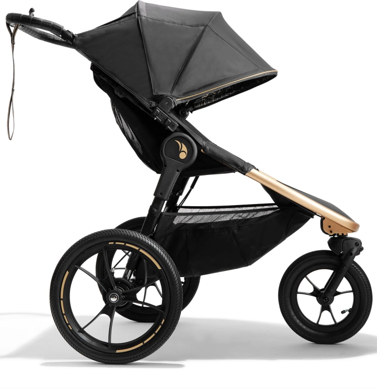 baby-jogger-summit-x3-city-royalty-robin-arzon3.jpg