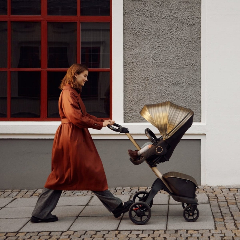 Stokke-Xplory-X-Gold-Black-7.jpg