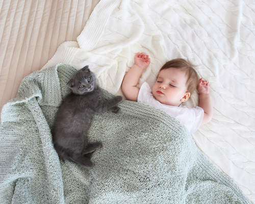 Targi Dziecięce BabyExpo Opole spotkanie z behawiorystą