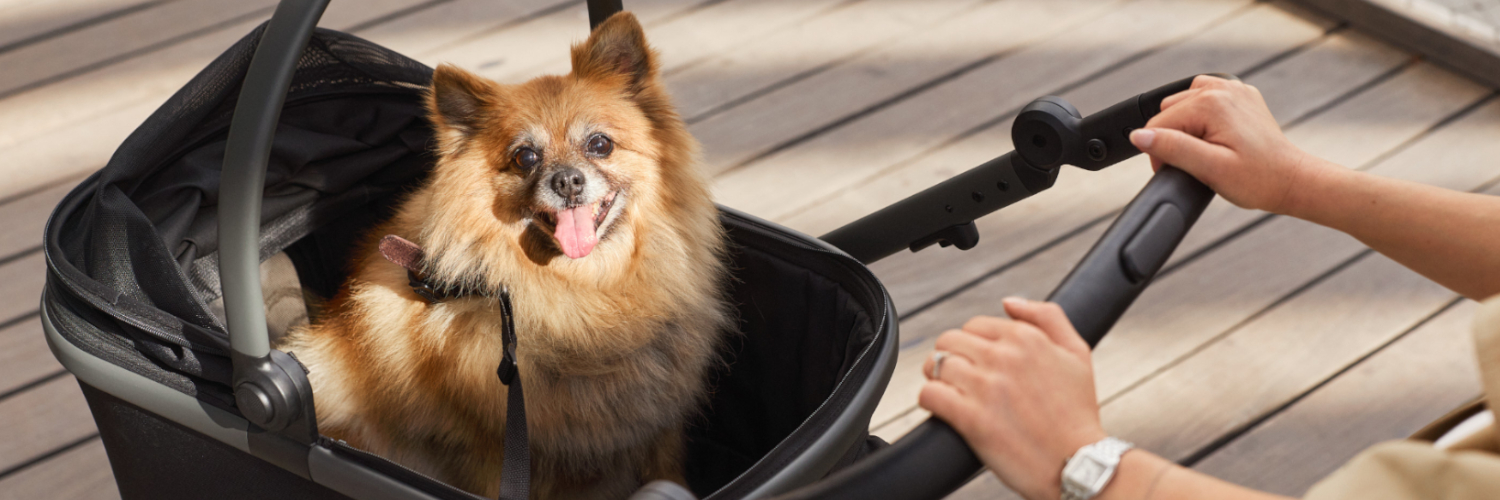 Anex Modu Pet Carrycot gondola dla psa lub kota do wózka dziecięcego