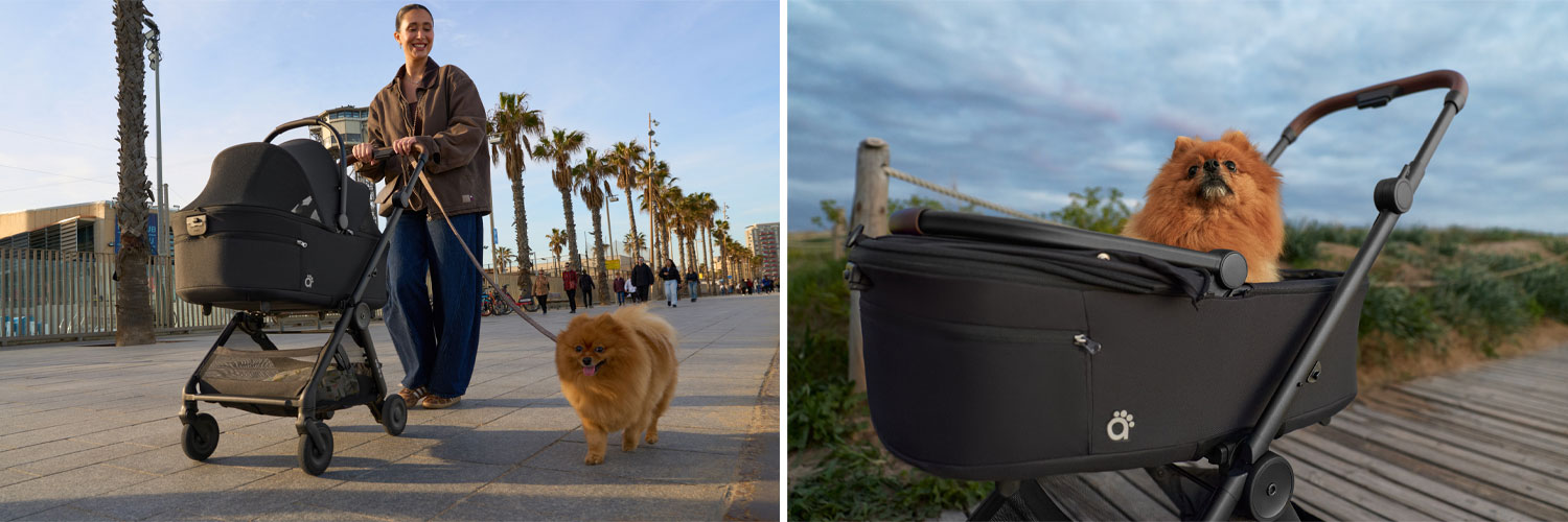 Wózek transporter na kółkach dla psa ewozki.eu